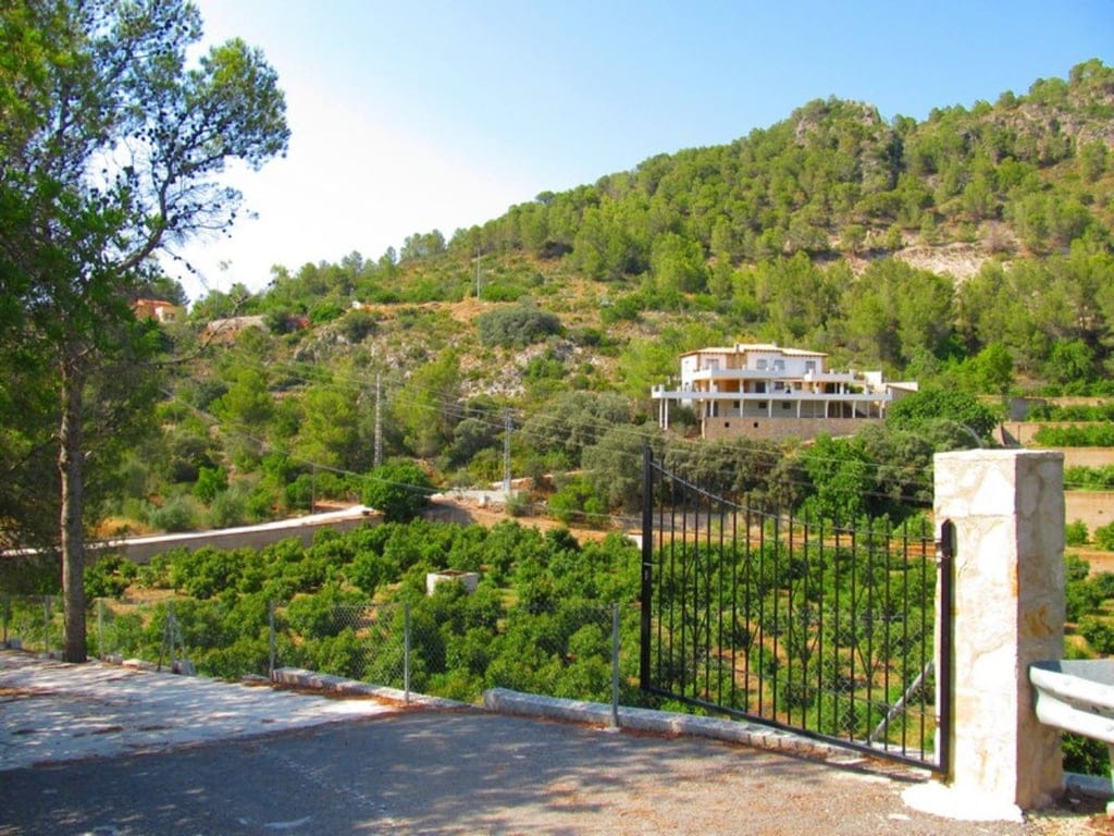 Farm with avocado plantation in Forna - Foto 8