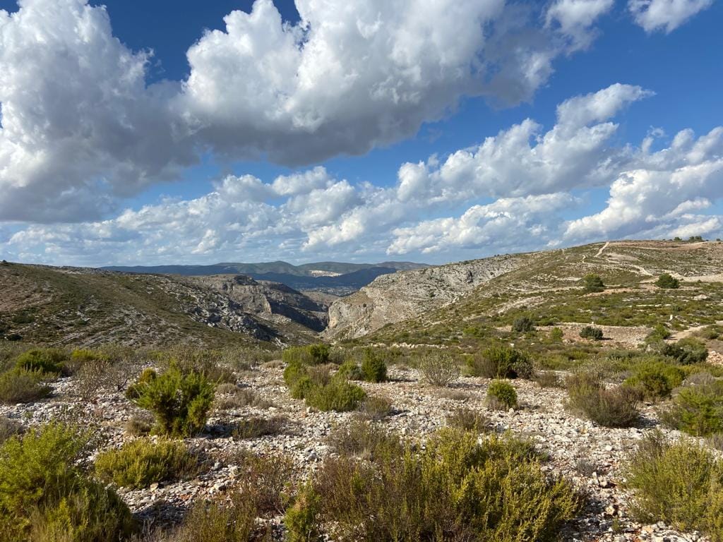 Land/Hunting Ground for Sale in Bocairente - Foto 17