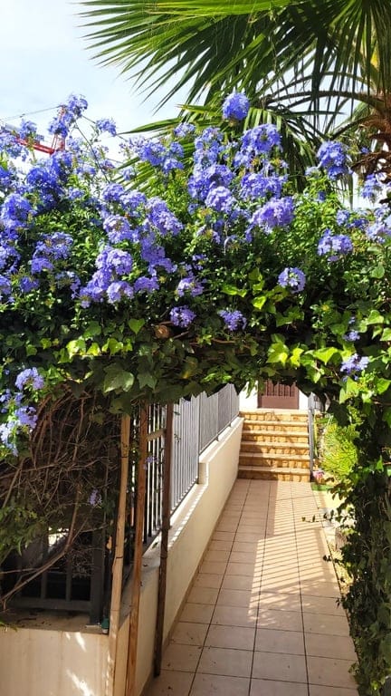 Property #RH20301 - Foto 8