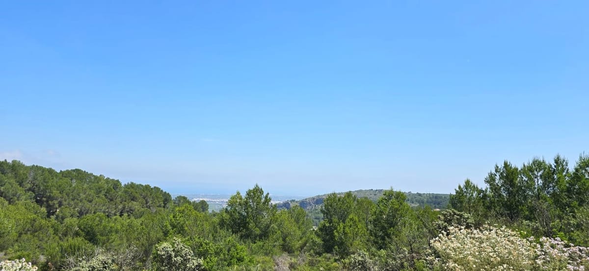 Progetto con licenza, SENZA COSTRUZIONE, piscina privata e 4 camere da letto