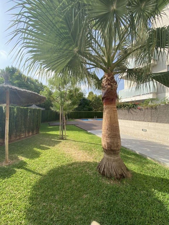 Duplex apartment for rent in Javea - Foto 24