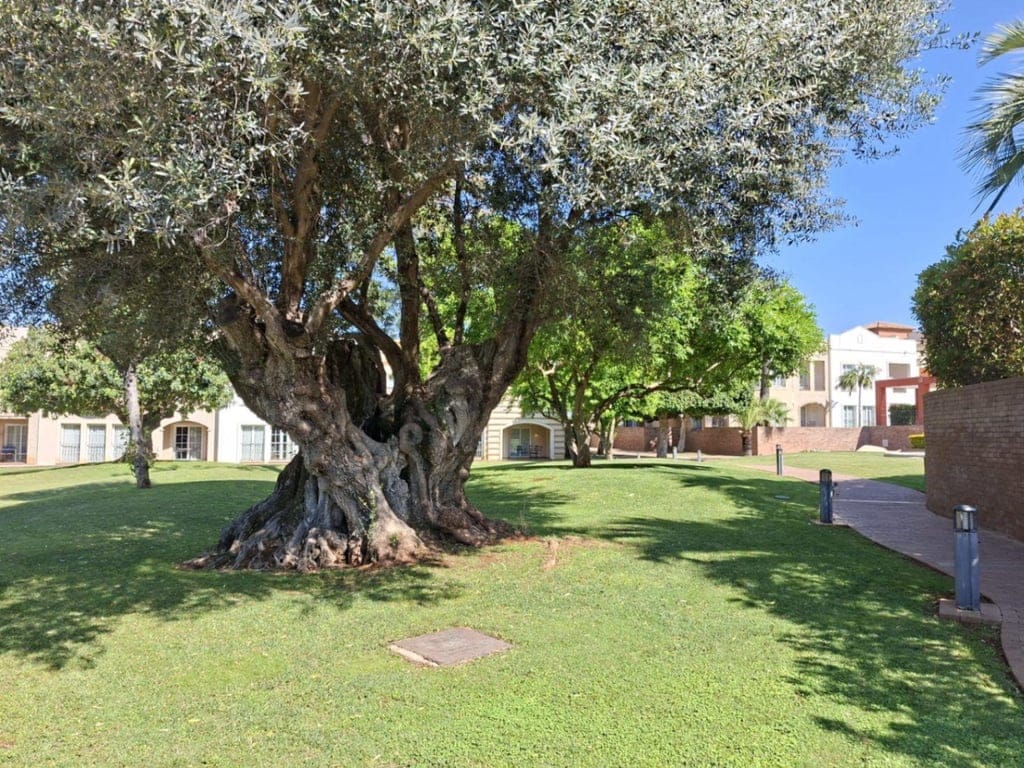 La Sella Golf Apartment in Denia - Foto 31