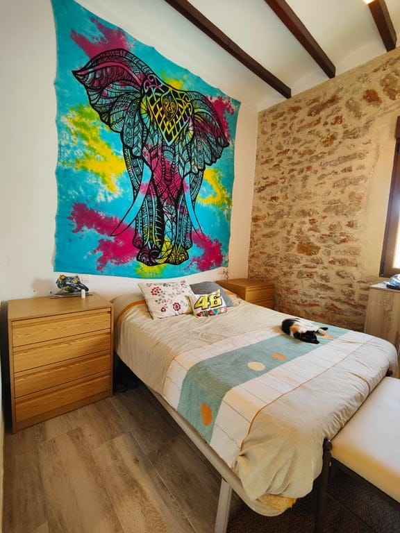 12,137 m2 plot with a habitable rustic house and beautiful views of the sea and the Peñón de Ifach - Benissa - Foto 10