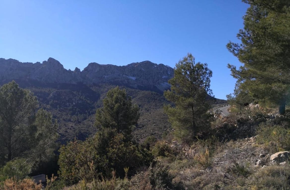 Property #RH20571 - Foto 2