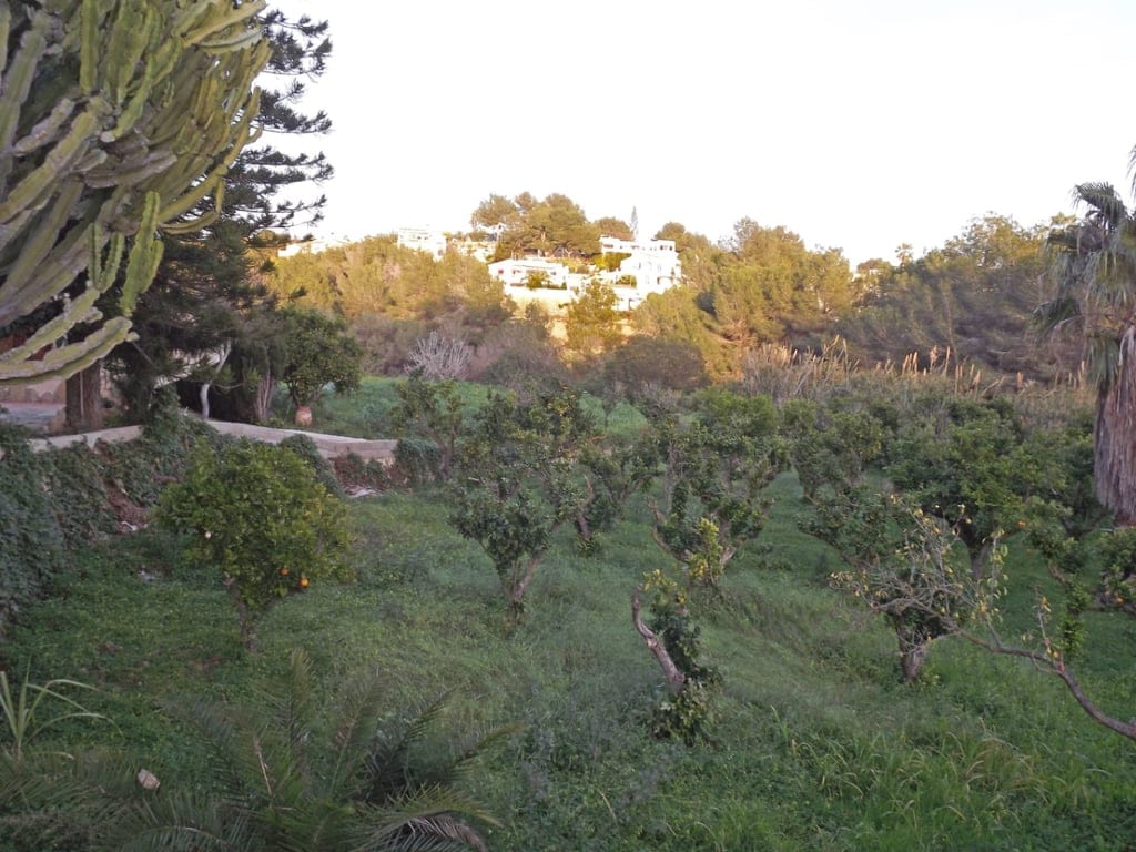 Villa for Sale in Benissa, large plot of 4.685m2 - Foto 26