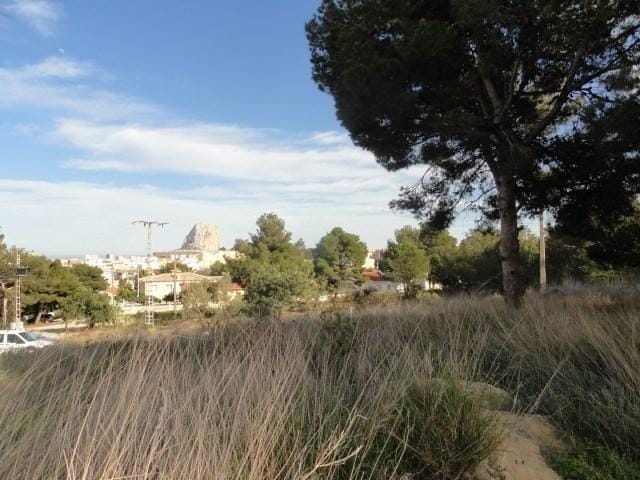 Property #RH21198 - Foto 4