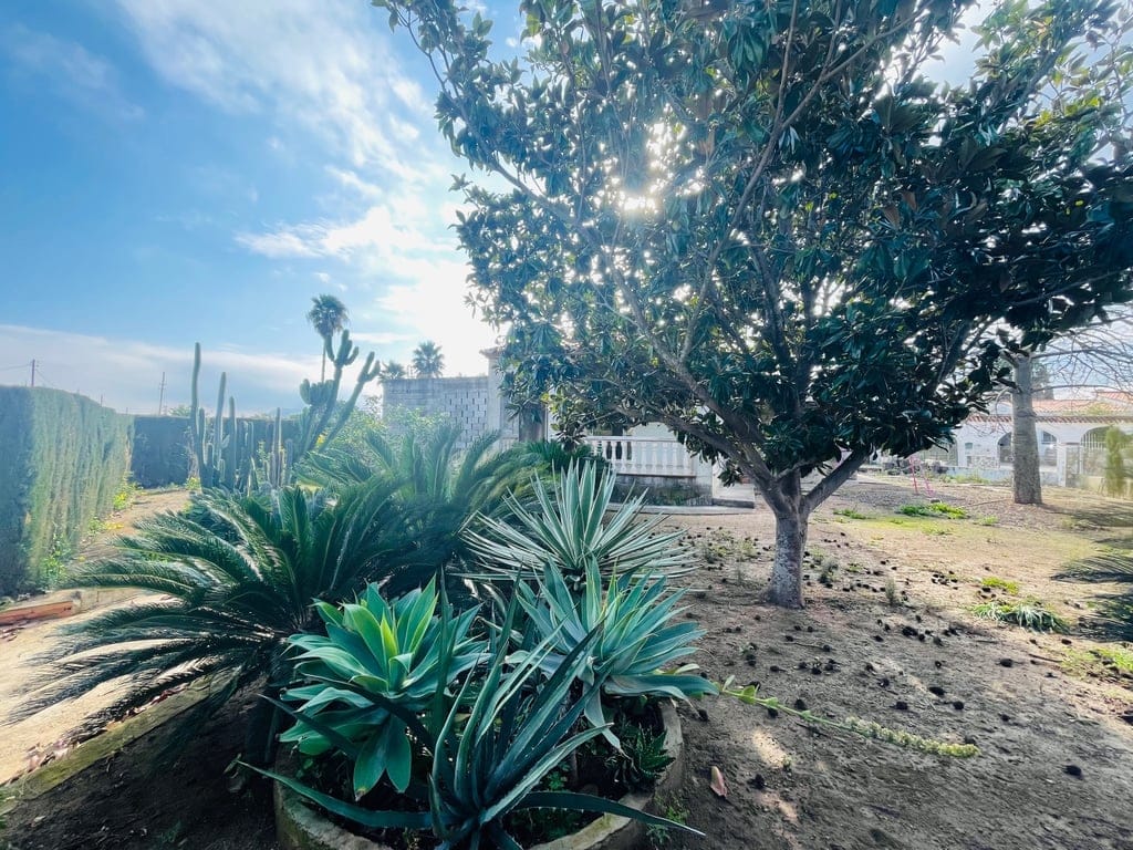 Ondara. Villa te koop - Foto 29