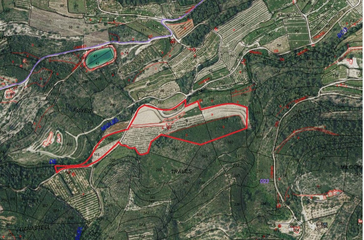 Große Orangenplantage mit Meerblick und Möglichkeit zur Errichtung eines Wohnhauses - Foto 9