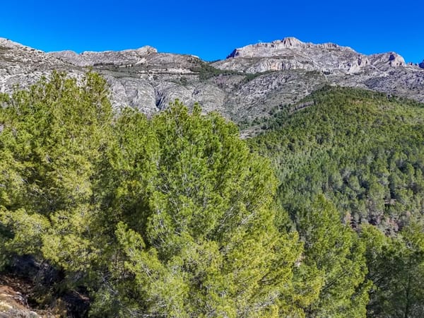 Parcela en venta en Callosa d'en Sarrià - Foto 11