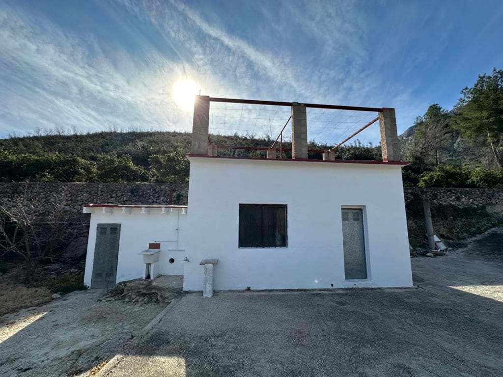 Große Orangenplantage mit Meerblick und Möglichkeit zur Errichtung eines Wohnhauses - Foto 5