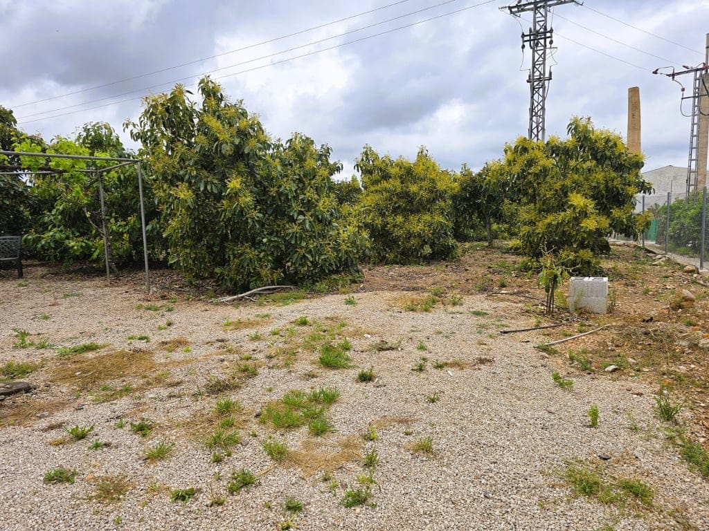 Property #RH20383 - Foto 11