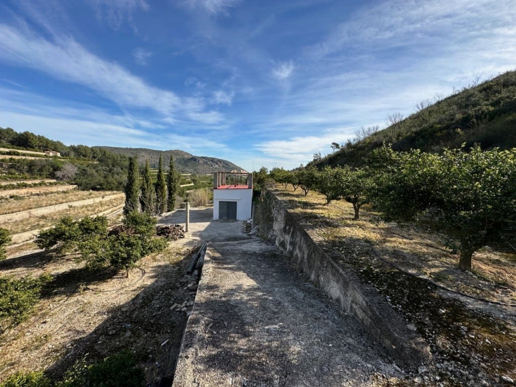 Große Orangenplantage mit Meerblick und Möglichkeit zur Errichtung eines Wohnhauses