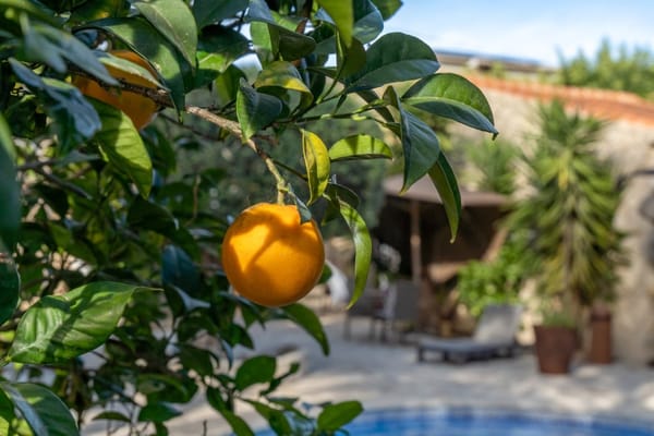 Villa con apartamento de invitados, totalmente renovada y cerca del casco antiguo de Jávea - Foto 41