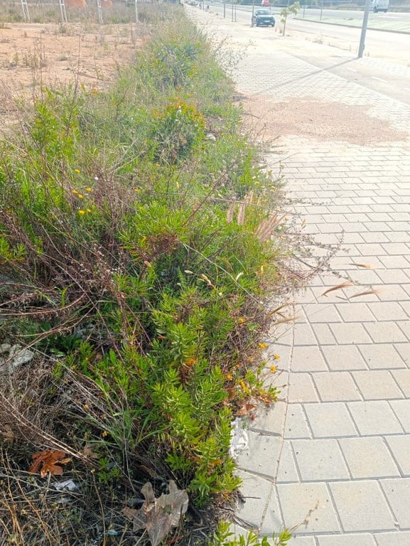 Property #RH20325 - Foto 8