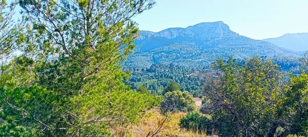Rustikales Grundstück von 16.845 m² zwischen Benissa und Calpe mit Meerblick - Foto 1