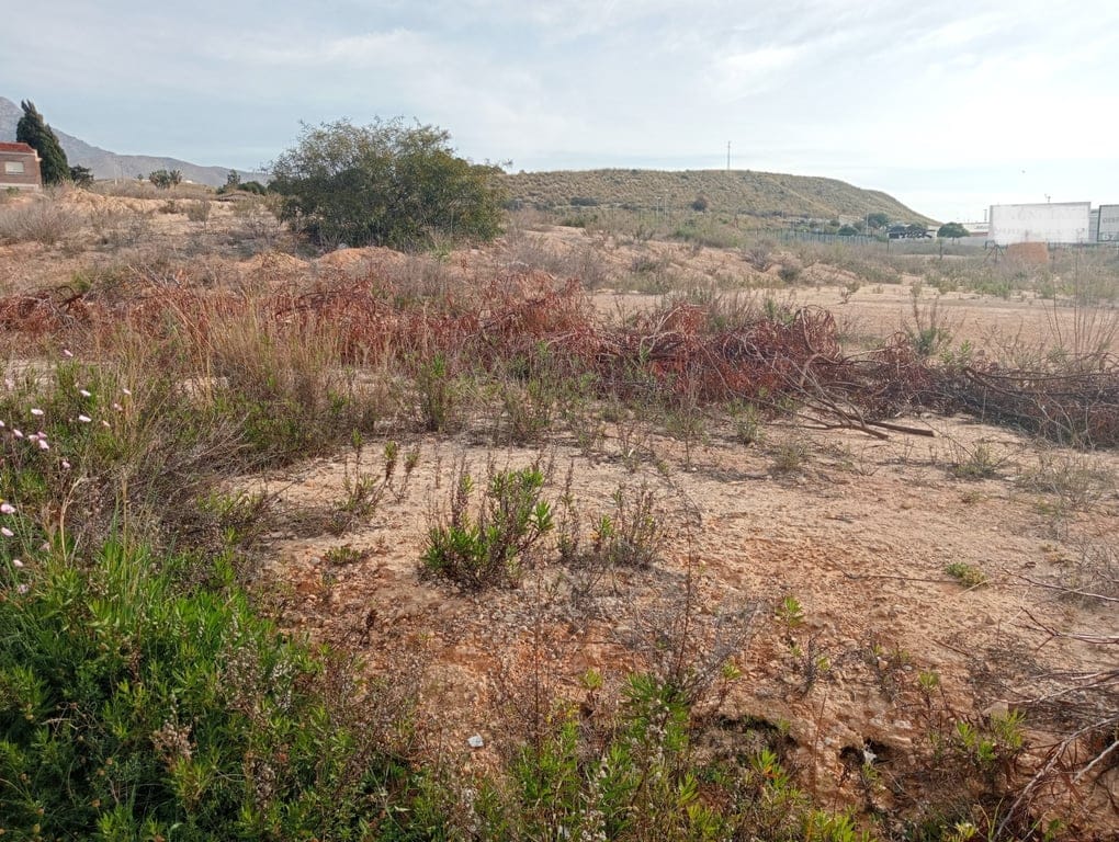 Property #RH20325 - Foto 9