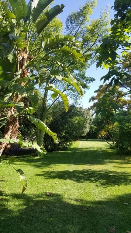 Ondara. Spacious finca for sale - Foto 9