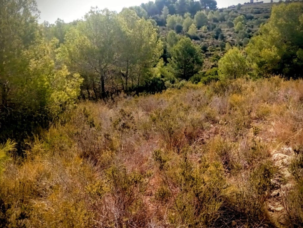 Large rustic land for sale in Benitachell. - Foto 9