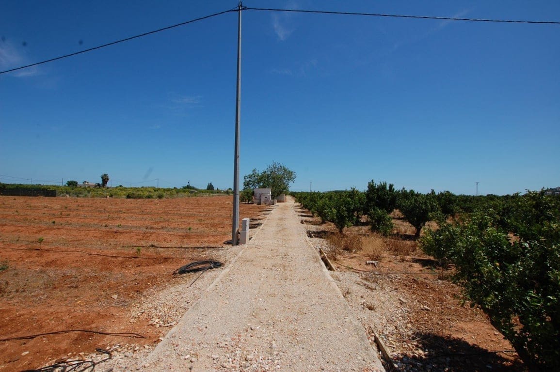 22.000 Quadratmeter großes rustikales Grundstück in Pego - Foto 4