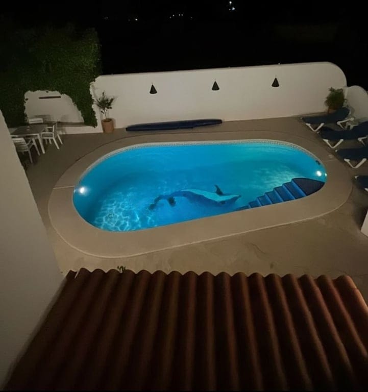 Villa in Calpe - Foto 2