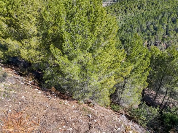 Parcela en venta en Callosa d'en Sarrià - Foto 10