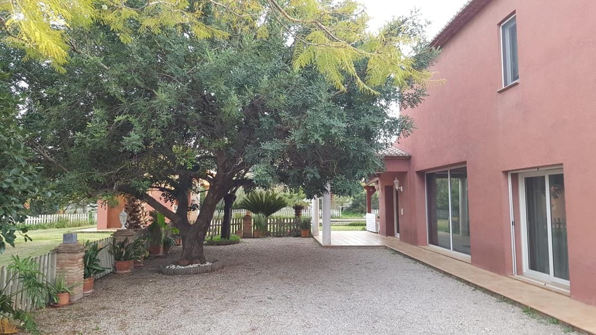 Ondara. Spacious finca for sale - Foto 5