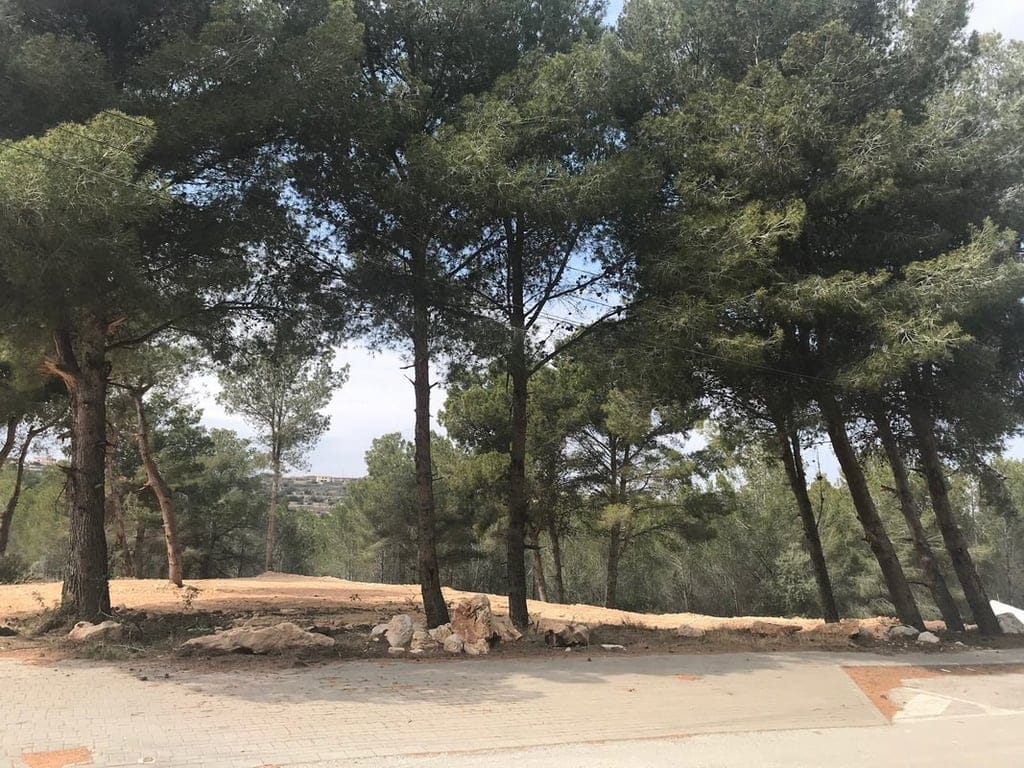 Flat plot for sale in Moraira - Foto 3
