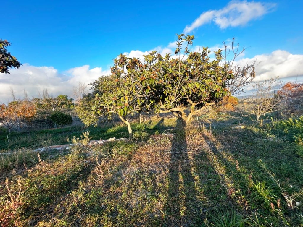 Villa with great renovation potential in Benissa – unique investment opportunity - Foto 5