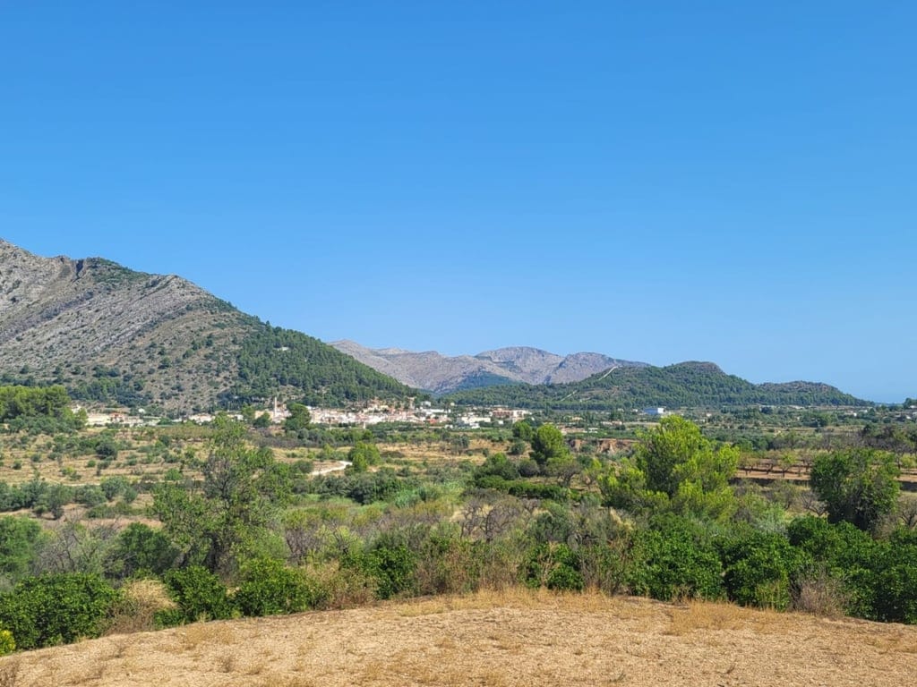 Attractive 15,000m2 plot for sale with electricity and natural water well. - Foto 10
