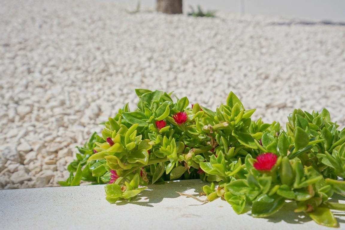 Property #RH21269 - Foto 49