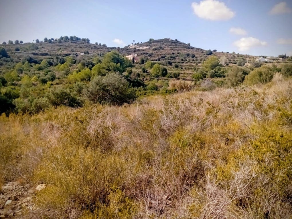 Large rustic land for sale in Benitachell. - Foto 5