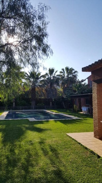 Ondara. Spacious finca for sale - Foto 7