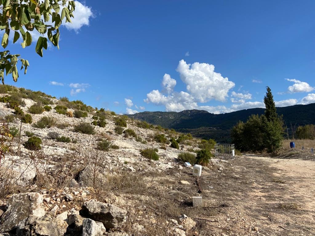 Land/Hunting Ground for Sale in Bocairente