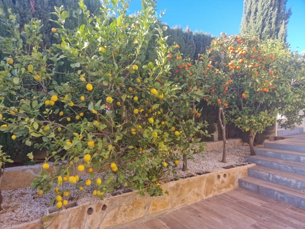 Villa with spectacular sea views - Foto 24