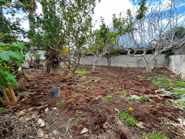 Incredibles Villa mit Meerblick zur Renovierung in Moraira – Großartige Investitionsmöglichkeit - Foto 25