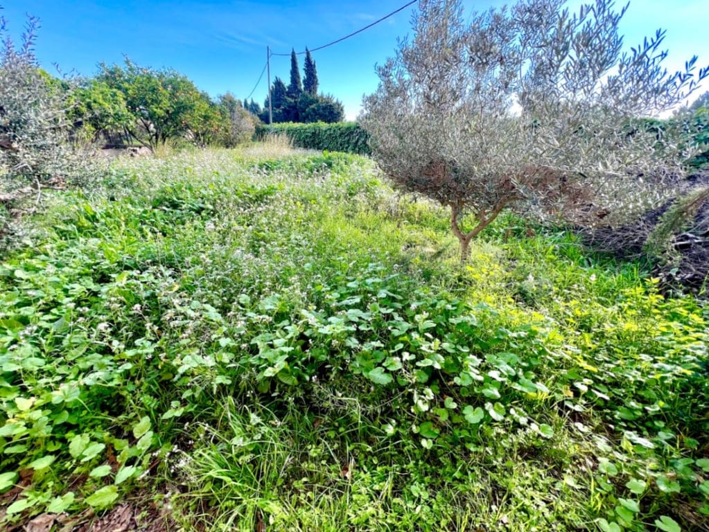 Rustikale Villa in Jávea, nahe dem Strand von Arenal, renoviert. - Foto 14