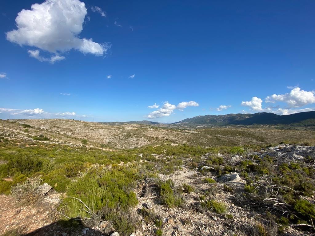 Land/Hunting Ground for Sale in Bocairente - Foto 3