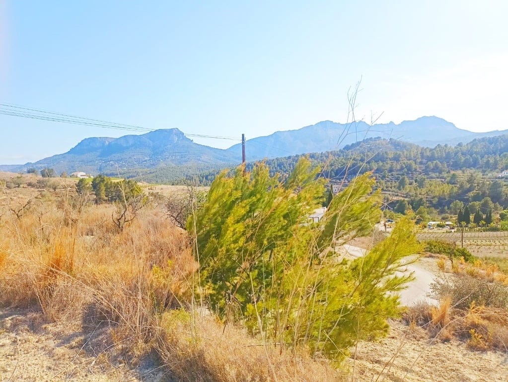 Plot with project and building permit included in Benissa, Costa Blanca. - Foto 3