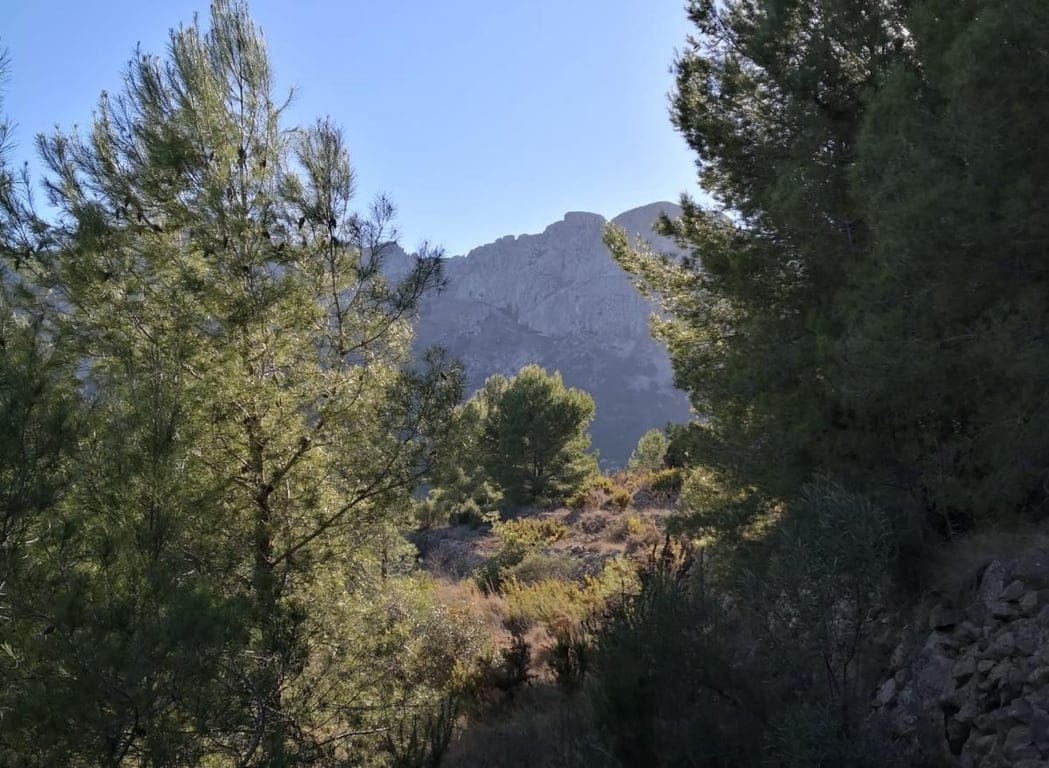 Property #RH20571 - Foto 16