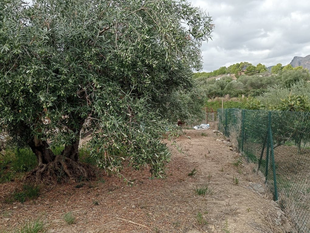 Property #RH20408 - Foto 17