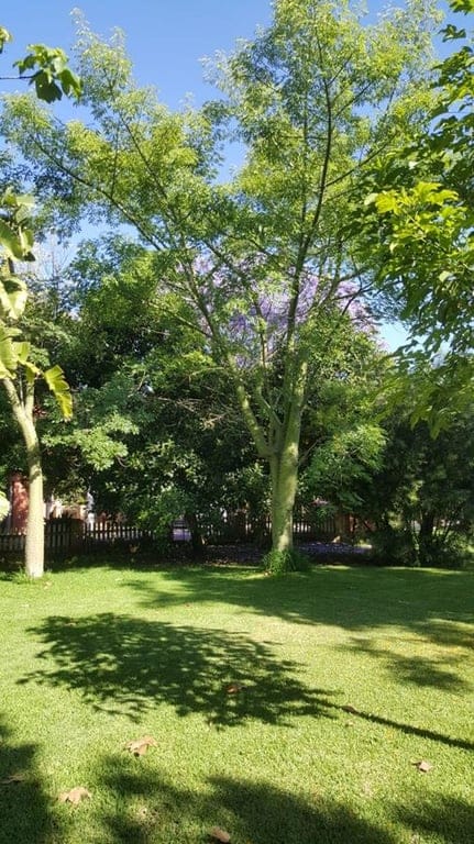 Ondara. Spacious finca for sale - Foto 10