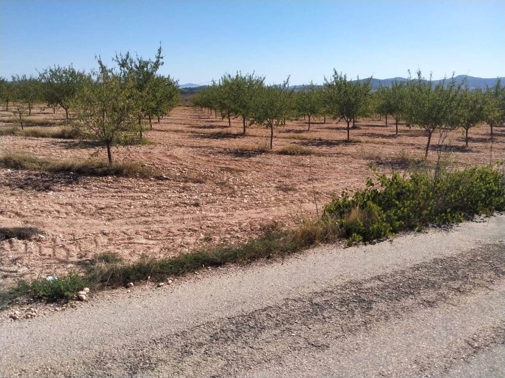 New Build Turnkey Villa in Pinoso – Exclusivity, Space, and Comfort in the Heart of Nature - Foto 33