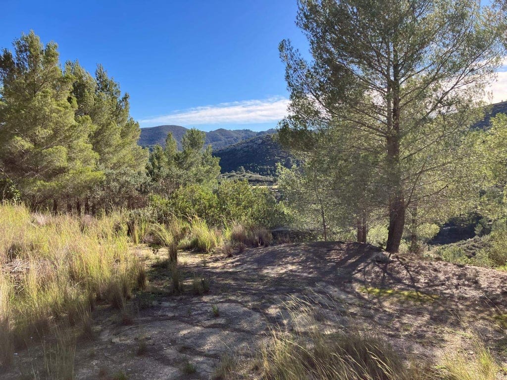 Country house in Pedreguer - Foto 11