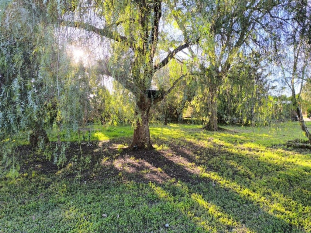 Villa te koop in Ondara met groot vlak perceel en twee vrijstaande huizen - Foto 5