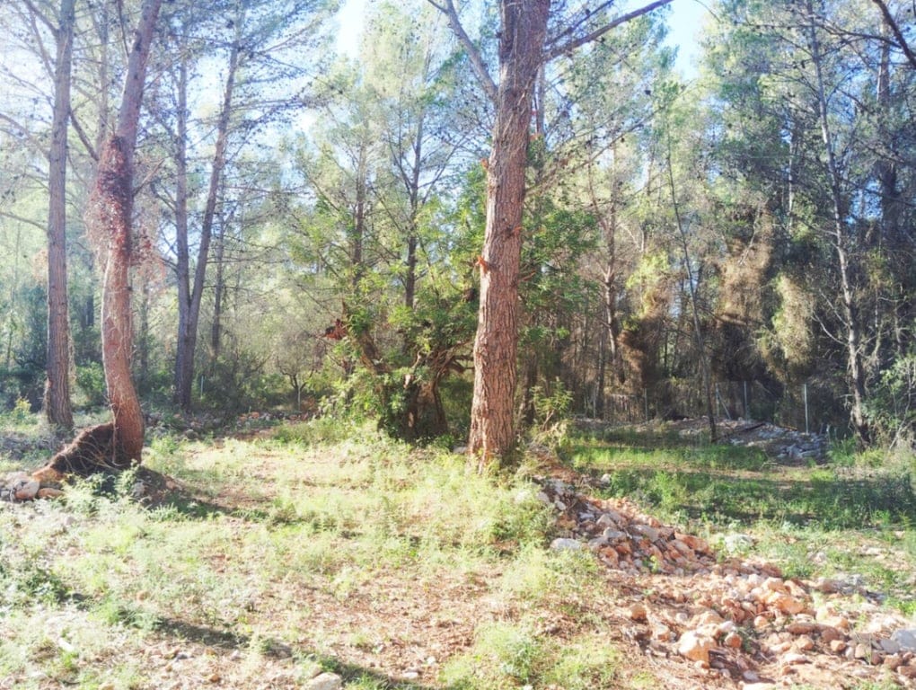 Renovated country house in Parcent: tranquility, fenced plot, nature, and comfort in a privileged setting. - Foto 21