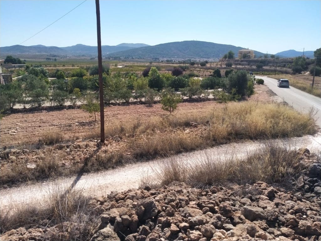 New Build Turnkey Villa in Pinoso – Exclusivity, Space, and Comfort in the Heart of Nature - Foto 29