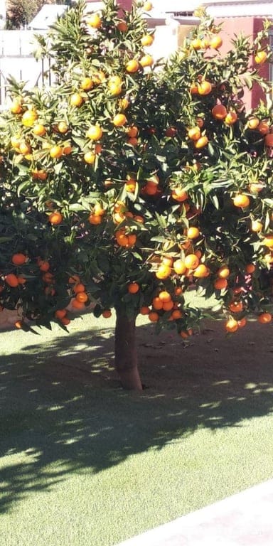 Property #RH20366 - Foto 16