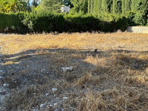 Flaches und rechteckiges Grundstück in Pego