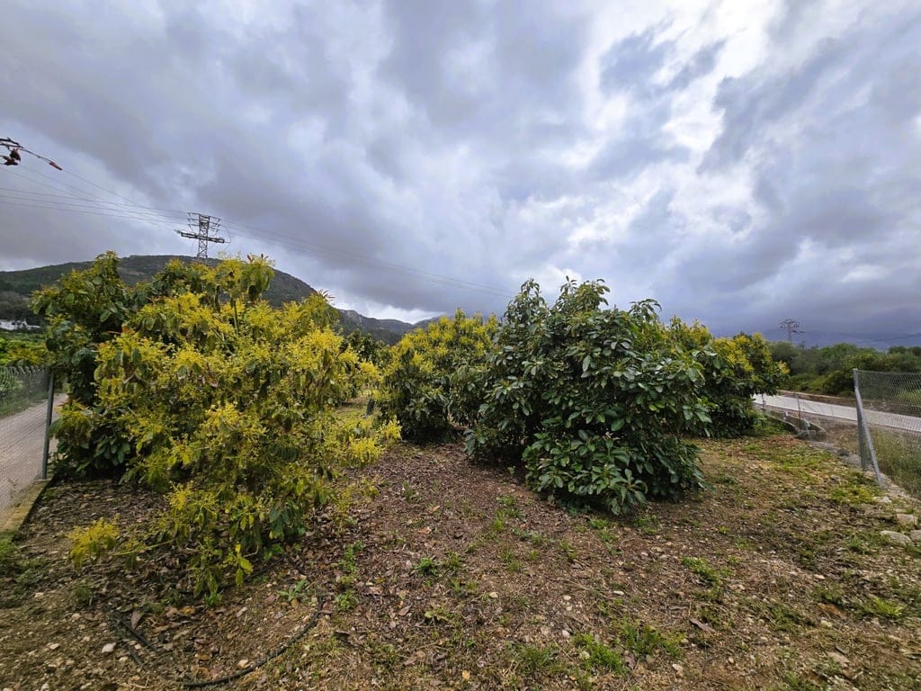 Property #RH20383 - Foto 2