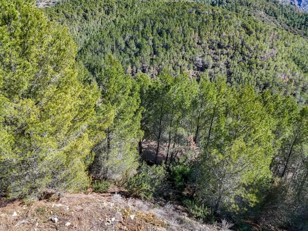 Parcela en venta en Callosa d'en Sarrià - Foto 12